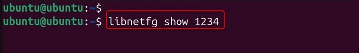 libnetcfg Command in Linux8