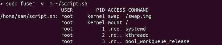 List All Processes of fuser filesystem