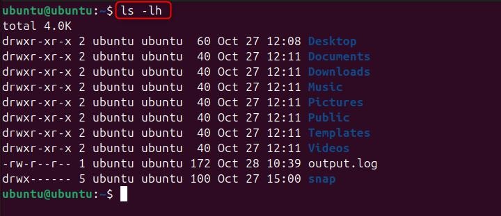 ls Command in Linux4