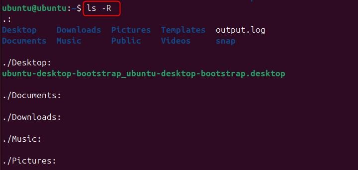 ls Command in Linux6