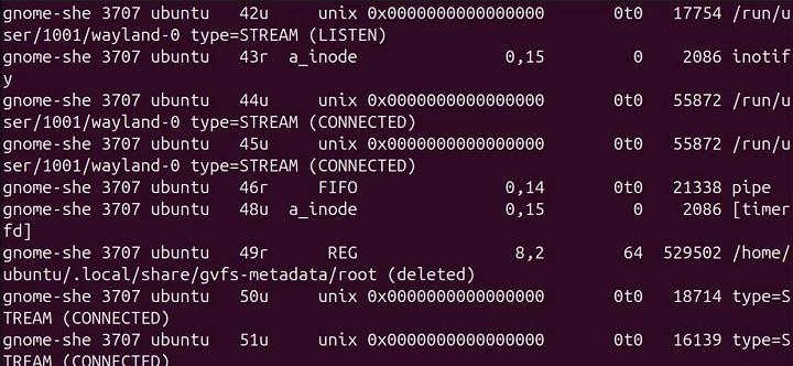 lsof Command in Linux21