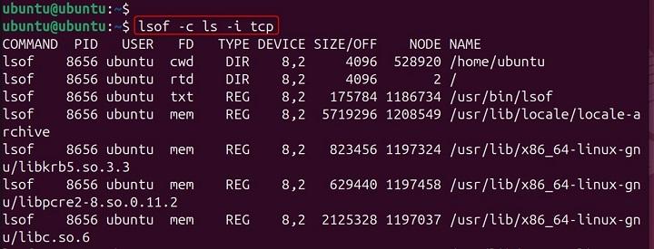 lsof Command in Linux23