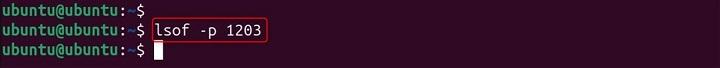 lsof Command in Linux3