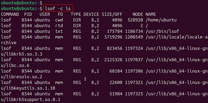 lsof Command in Linux4