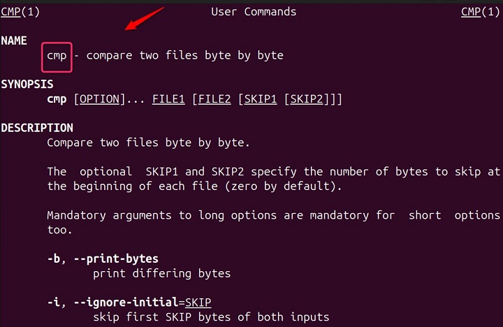 Manual Page cmp command