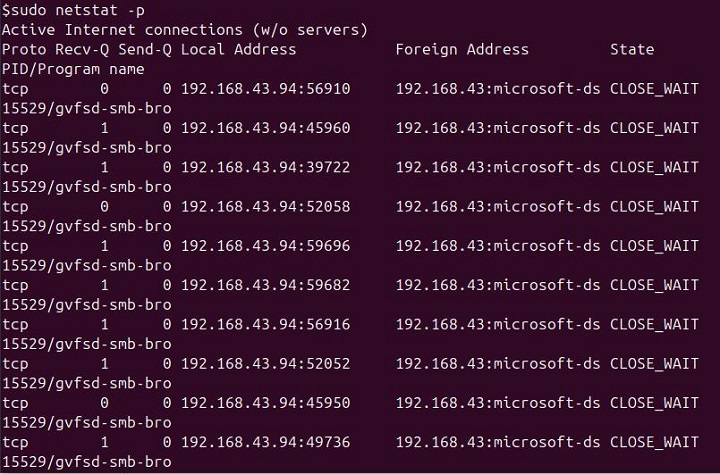 netstat Command in Linux6