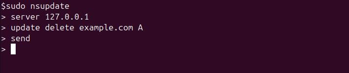 nsupdate Command in Linux2