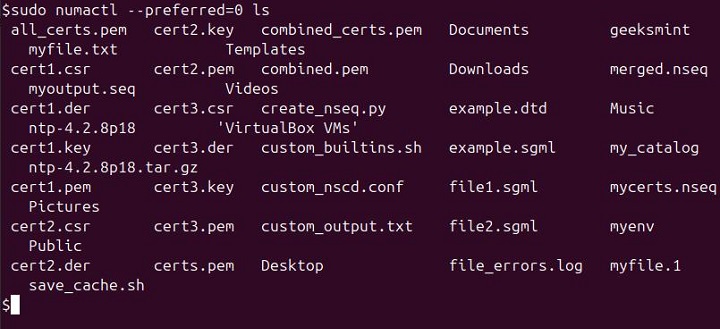 numactl Command in Linux3