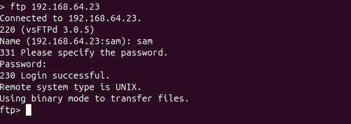 pftp Command in Linux1