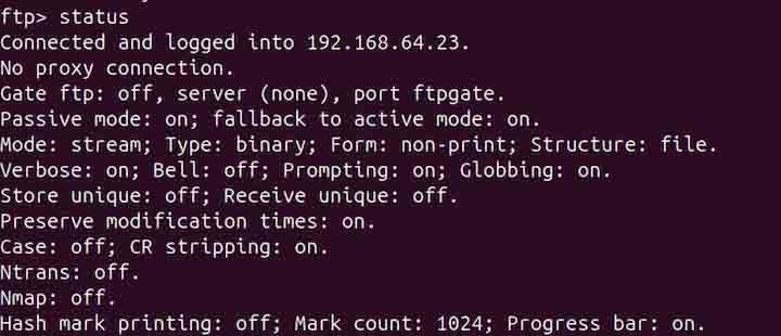 pftp Command in Linux9