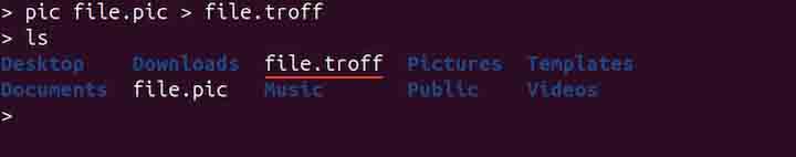 pic Command in Linux1
