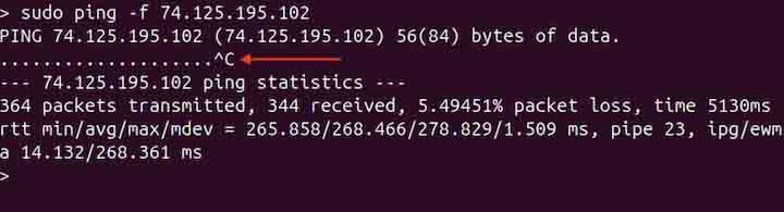 ping Command in Linux5