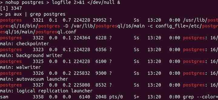 postgres Command in Linux5