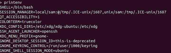 printenv Command in Linux1