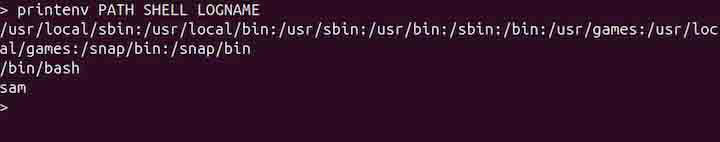 printenv Command in Linux4