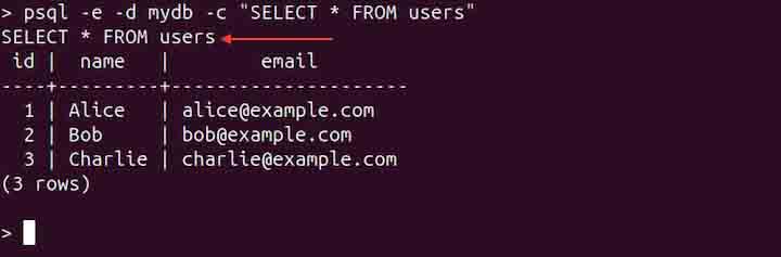 psql Command in Linux10