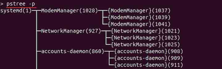 pstree Command in Linux3