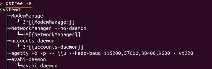 pstree Command in Linux4