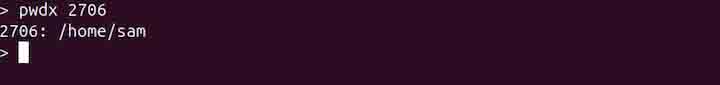 pwdx Command in Linux2
