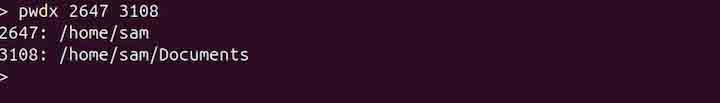 pwdx Command in Linux3