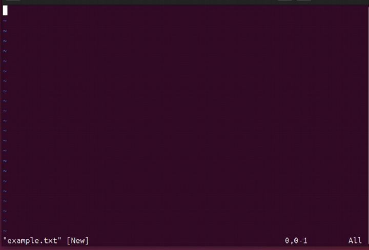 rvim Command in Linux5