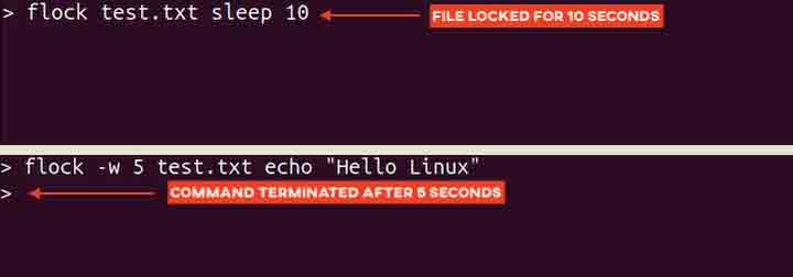 Setting Timeout in flock Command