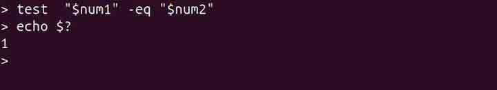 test Command in Linux7