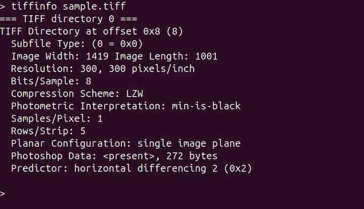 tiffinfo Command in Linux2