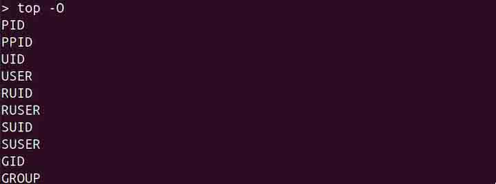 top Command in Linux6