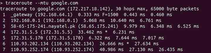 traceroute Command in Linux9
