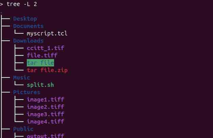 tree Command in Linux4