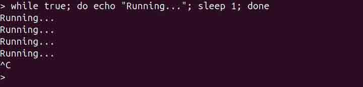 true Command in Linux2