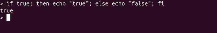 true Command in Linux3
