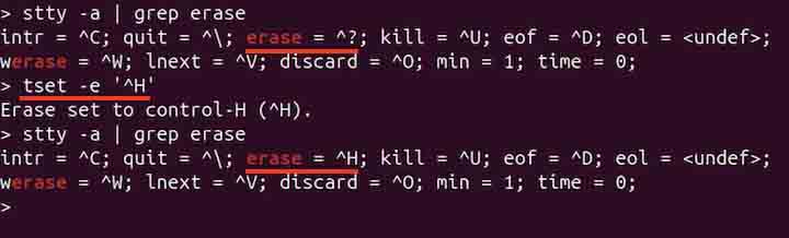 tset Command in Linux4