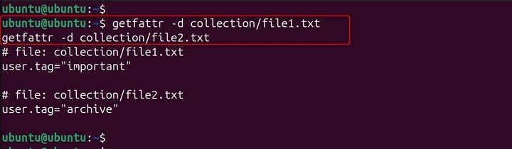 Verify the extended attributes